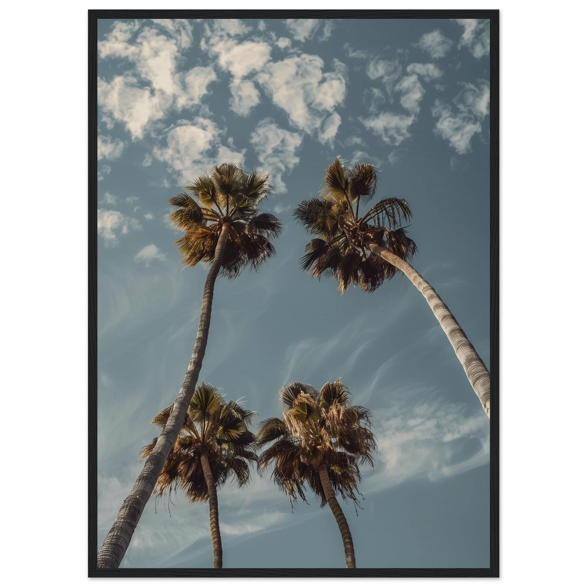 03509404-55bb-425f-9c57-3687b3b1c7a7