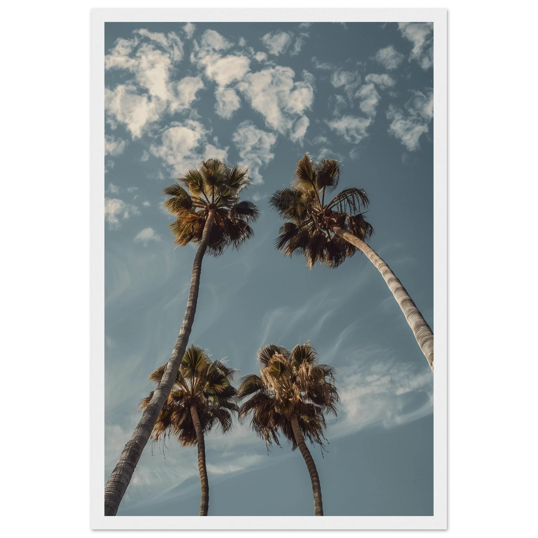 037456dd-7b08-4ea8-9f6d-44c911f4dc8c