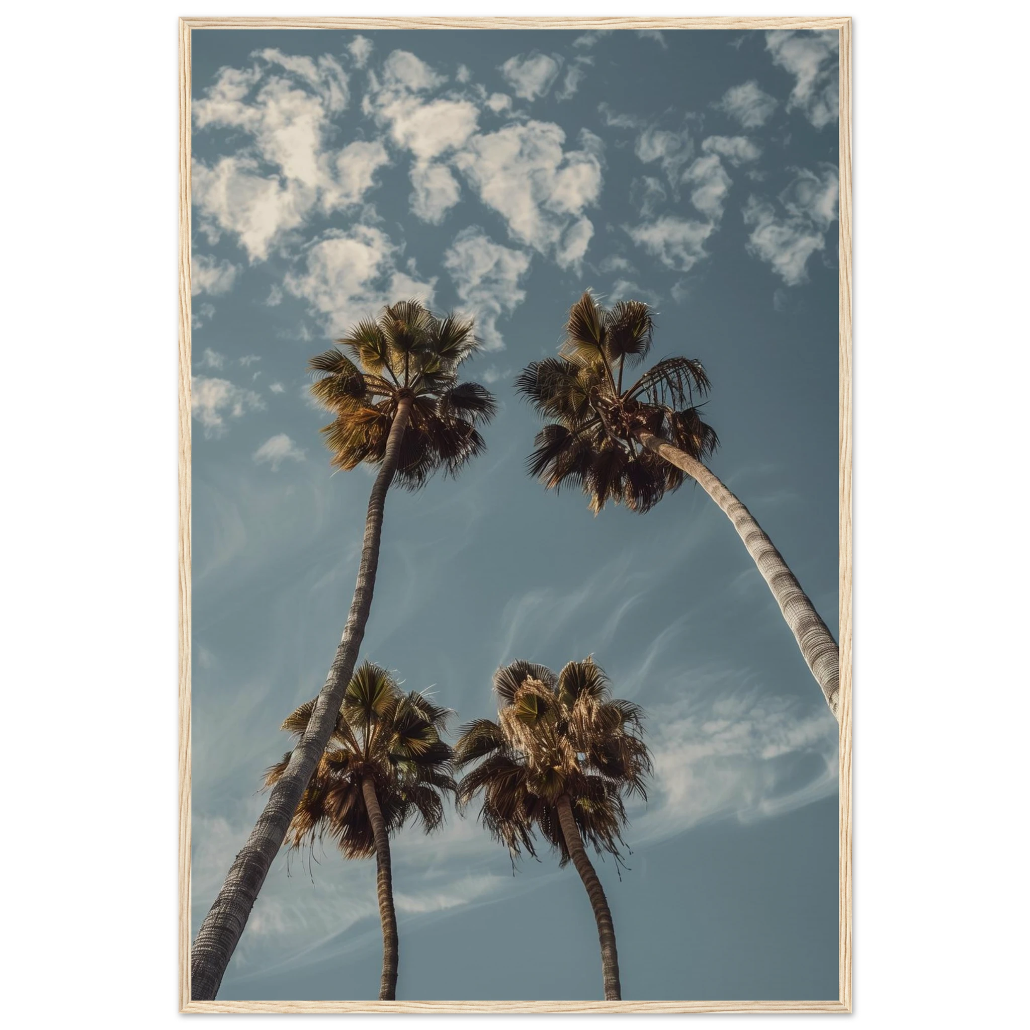 0c1106af-c7eb-40f1-88d5-76aa65a73352