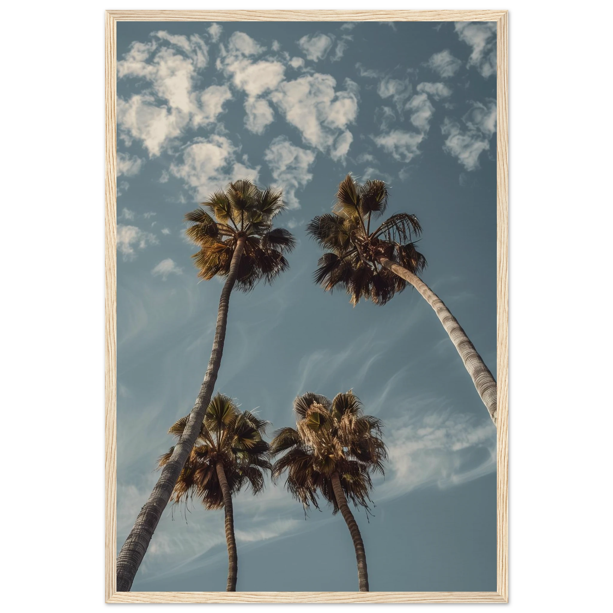 1b85b358-1b23-49b9-bb5d-b883a17d1eac