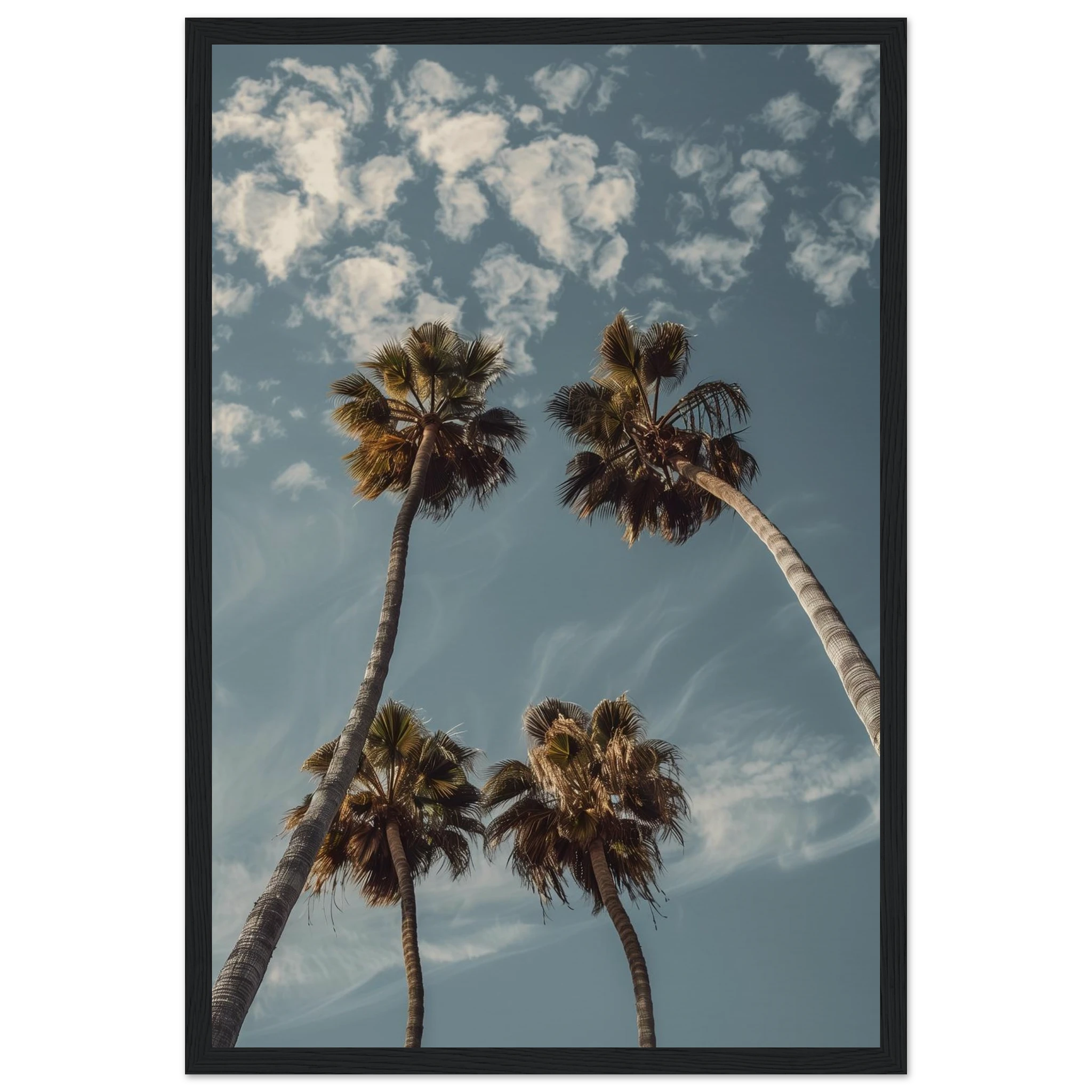 1f75f0f5-b40d-46d9-9bbc-5e90606e26e9