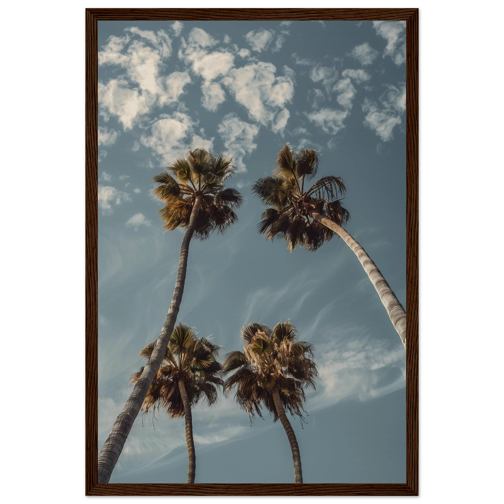 2d86b7e5-488b-4b89-bb30-15f16aed8cd5