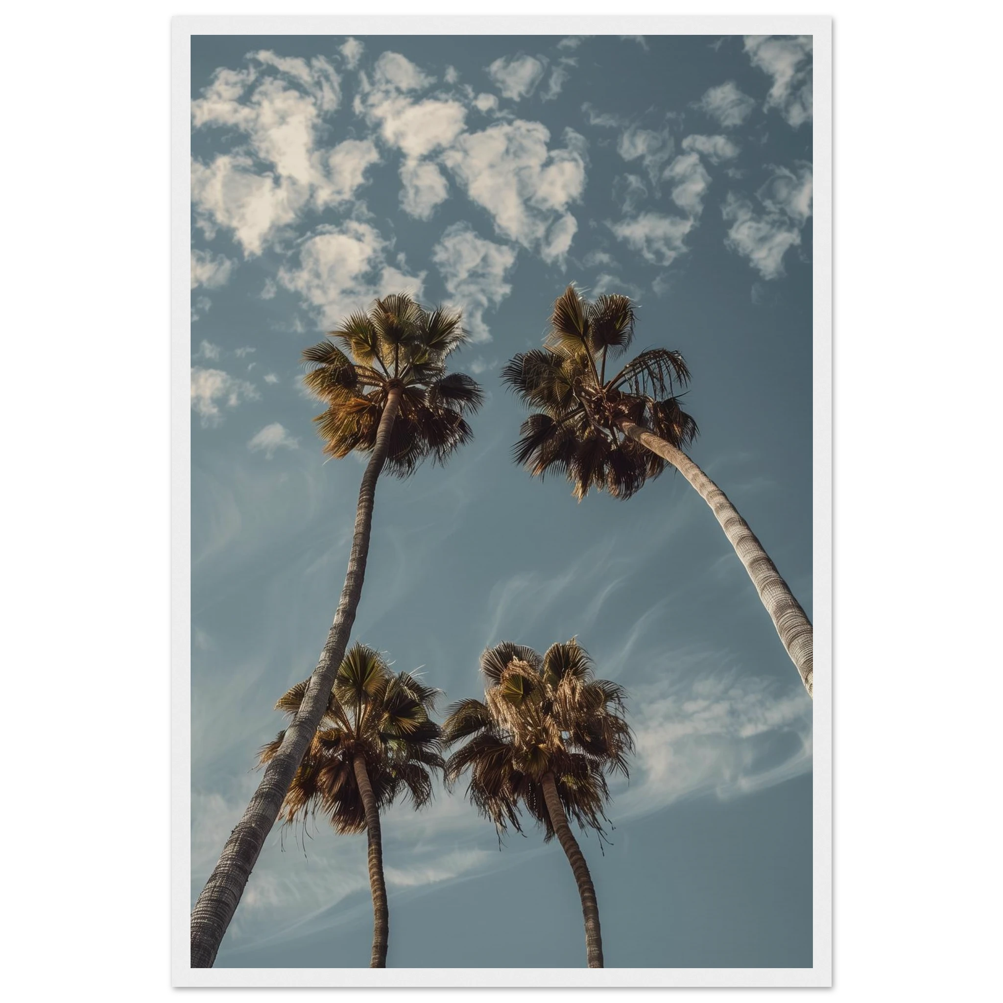 558c05a4-dc3a-4b39-a25b-90e5df969963