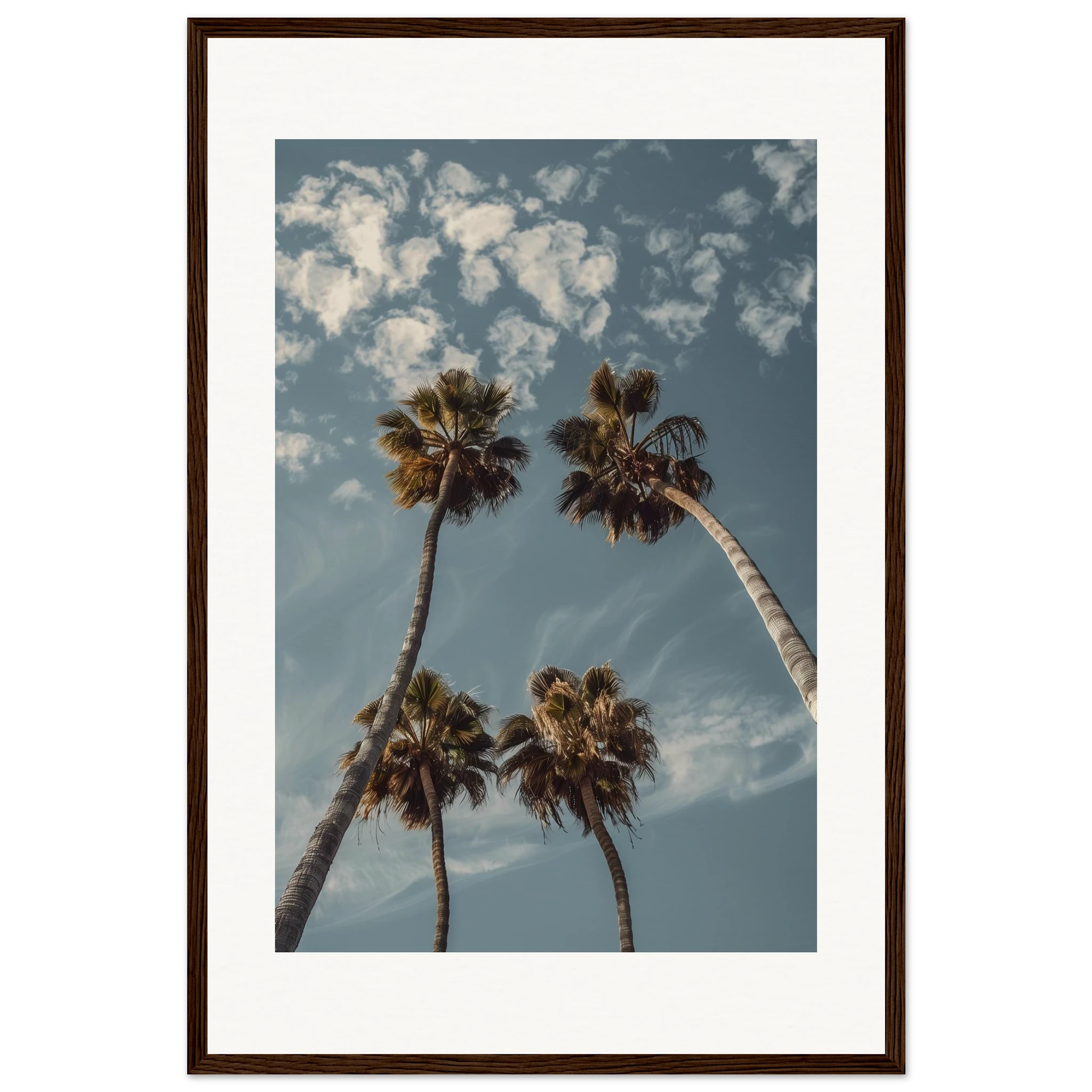 67846baf-bc4d-49f4-9df1-dff8b8e9eeca