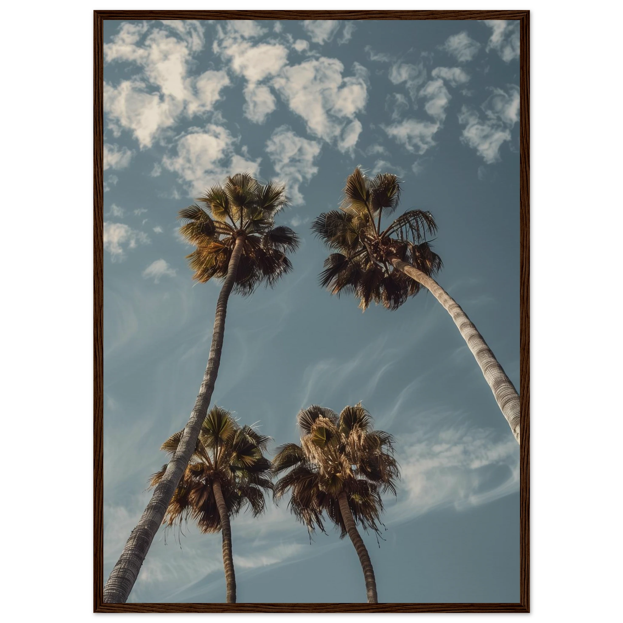 76acb0ac-7bcc-477d-9aea-6db2ab1f6907