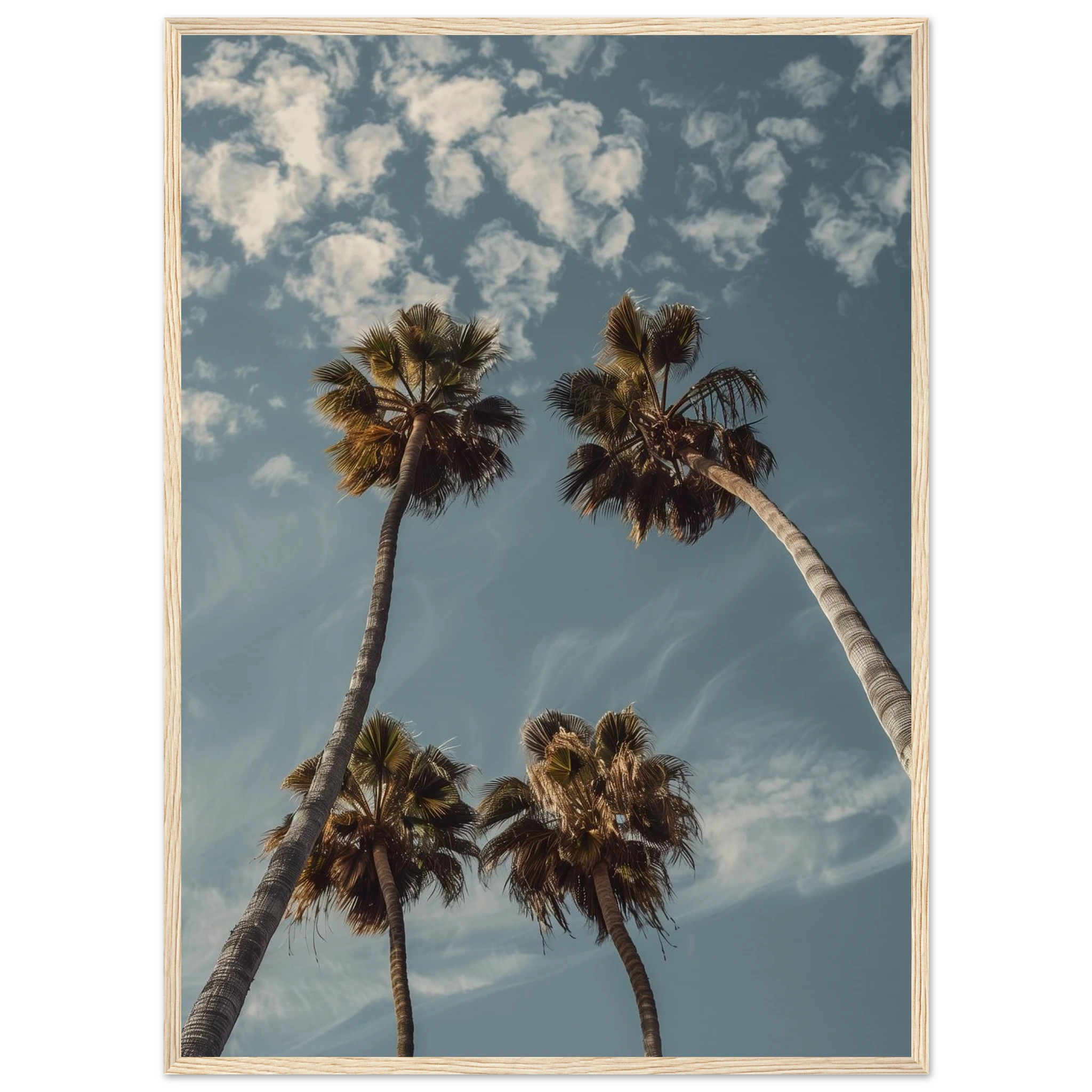 806e7dc7-9866-414a-b4d5-41aa62facf3b