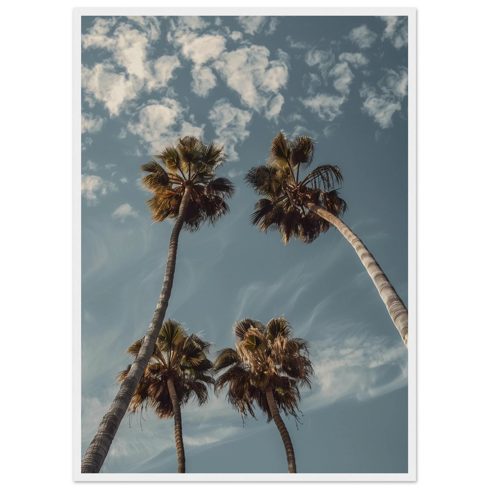 86124a36-9078-40bd-b18a-bd64d5159784