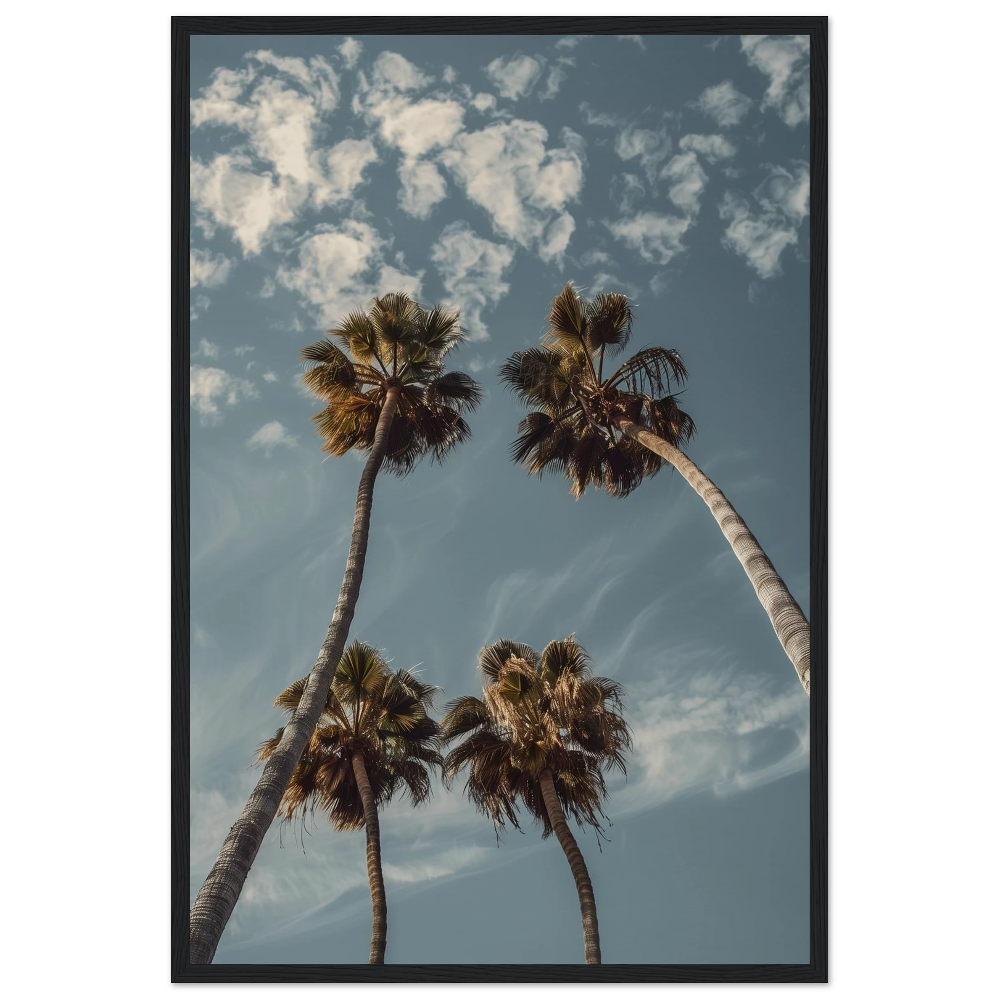 97c2ae07-ec2d-4982-8fd9-4115a620ac28