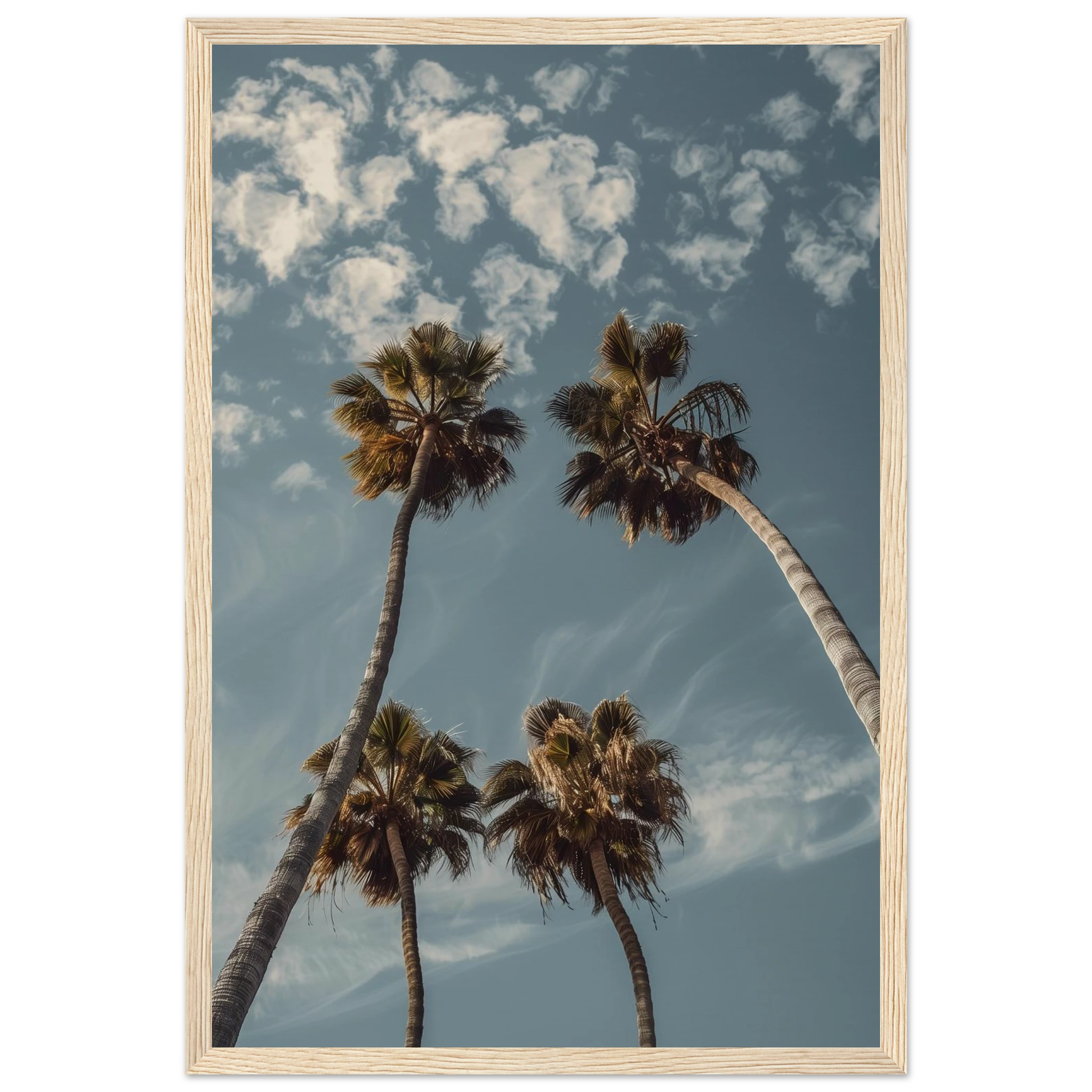 9dcbc876-328d-475c-9f5c-ffadc6ff7abb