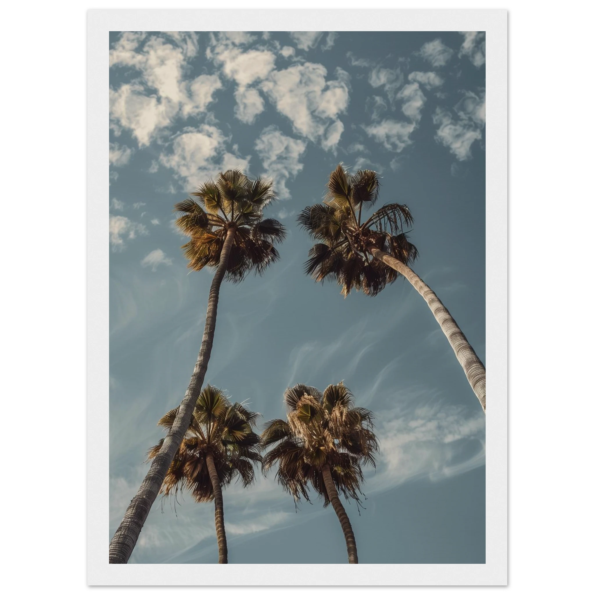 bf712e77-8d8d-485c-8504-2eeda8adb2e2